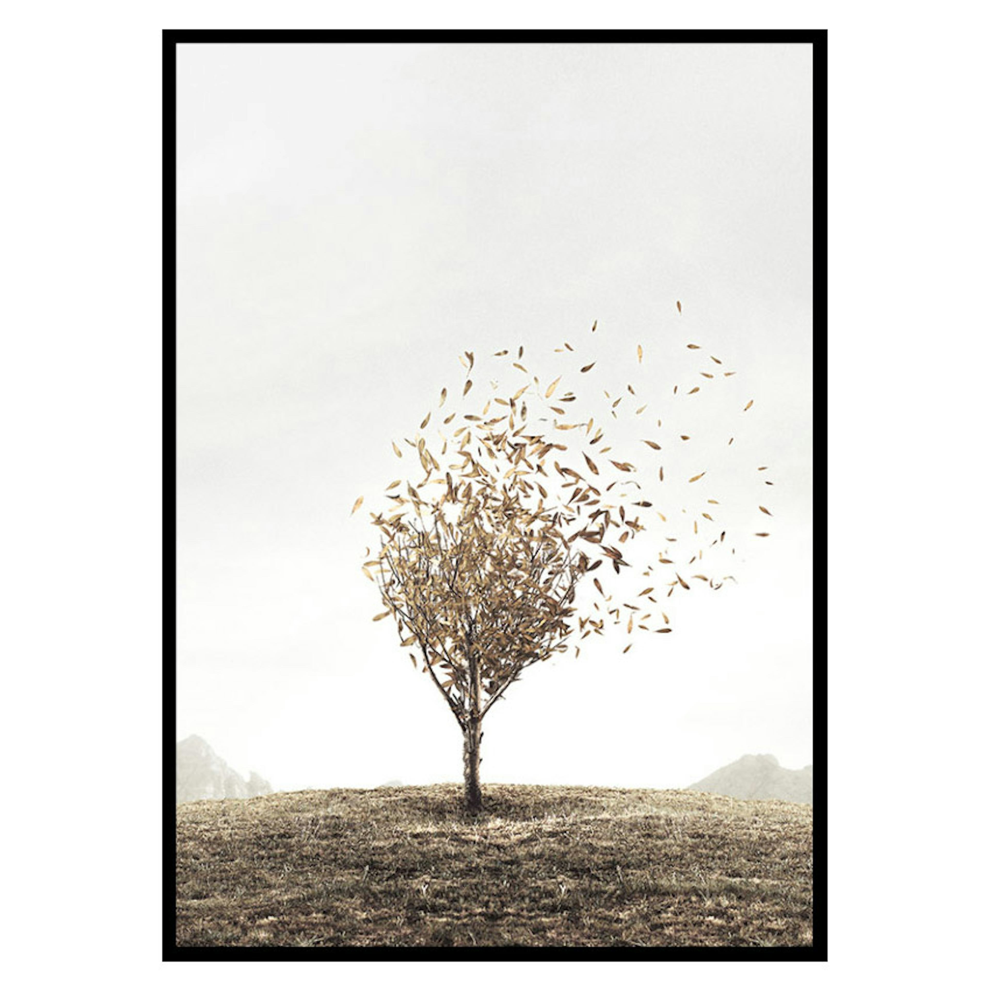 Poster Gallerix Blowing Away