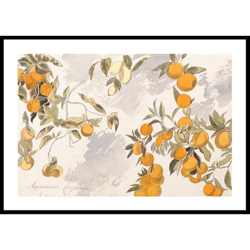 Poster Gallerix Fruit Trees By Edward Lear