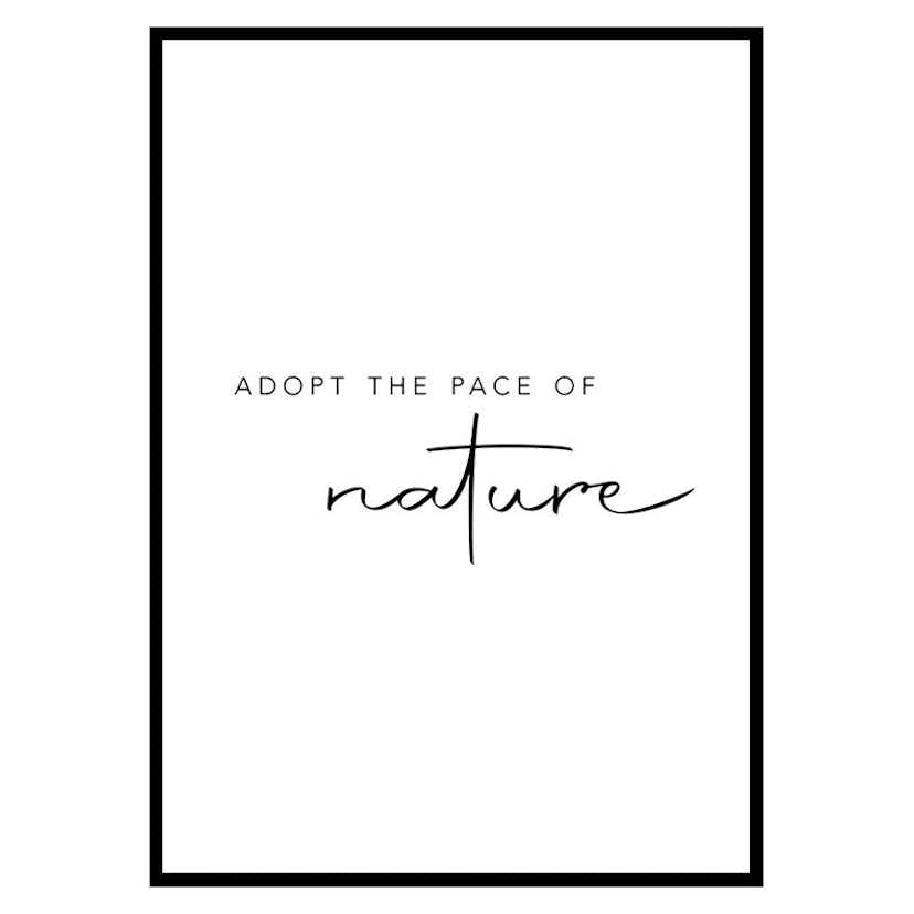 Poster Gallerix Pace Of Nature