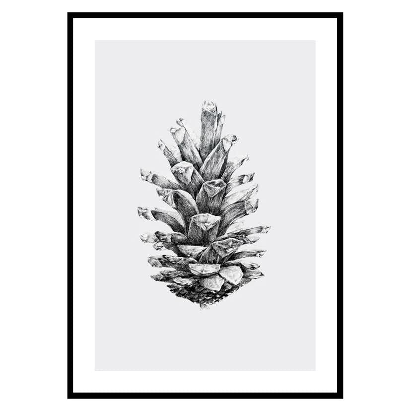 Poster Gallerix Sketched Spruce Cone