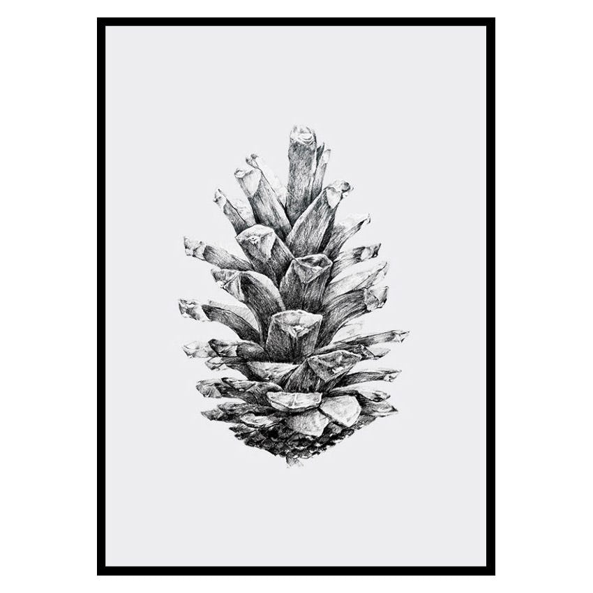 Poster Gallerix Sketched Spruce Cone
