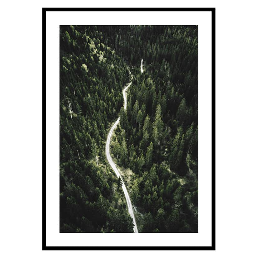 Poster Gallerix Coniferous Forest