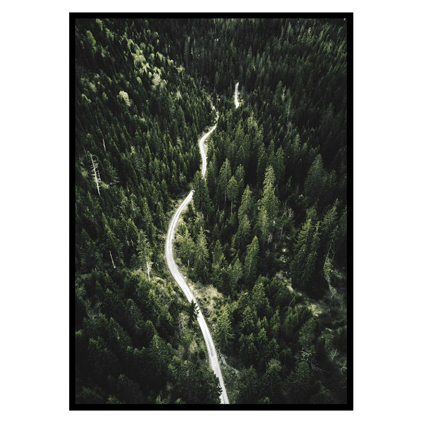 Poster Gallerix Coniferous Forest
