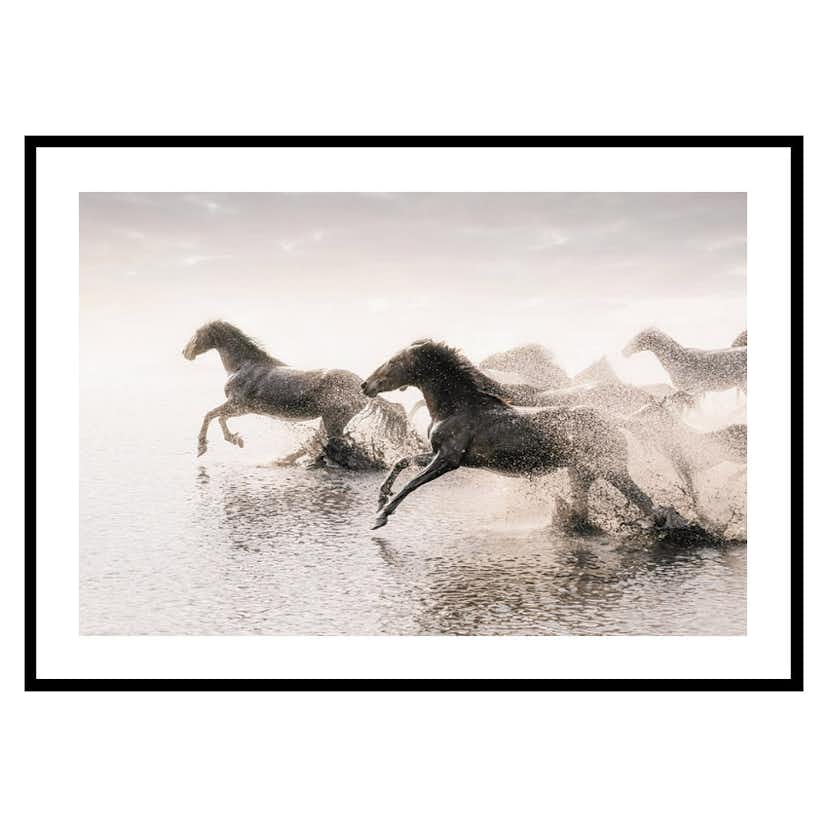 Poster Gallerix Wild Horses Running