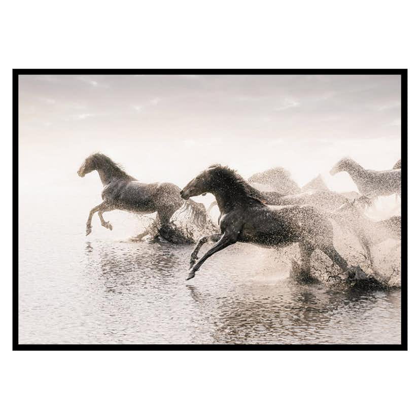 Poster Gallerix Wild Horses Running