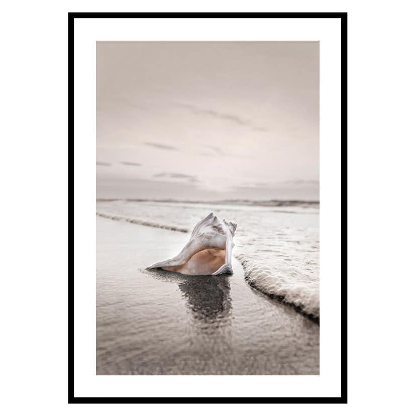Poster Gallerix Shell On Beach