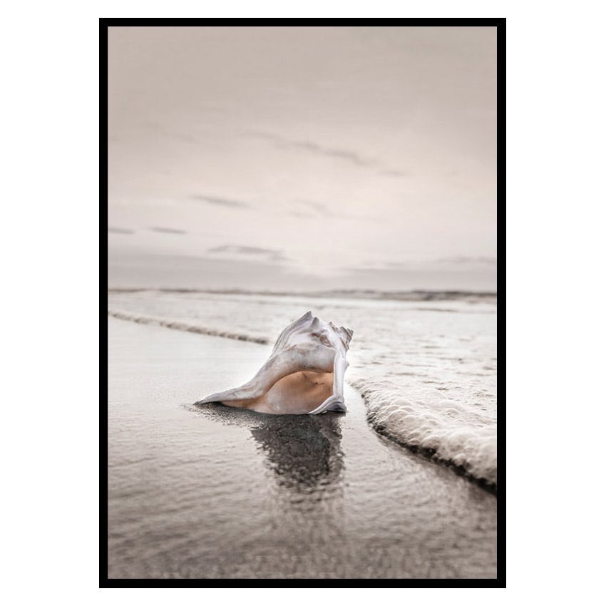 Poster Gallerix Shell On Beach