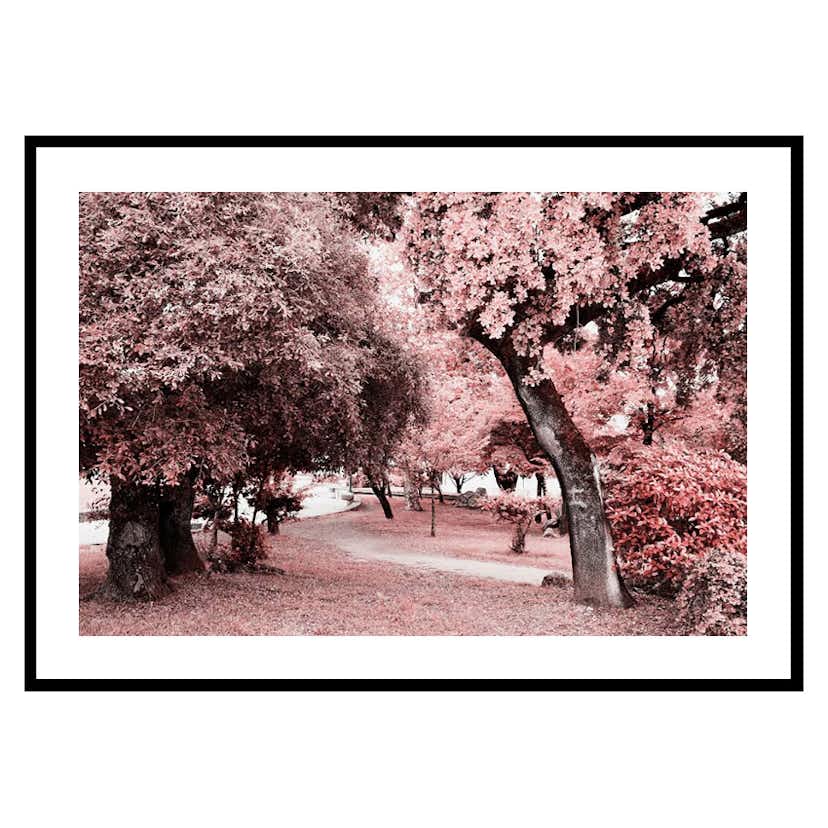 Poster Gallerix Pink Trees No1
