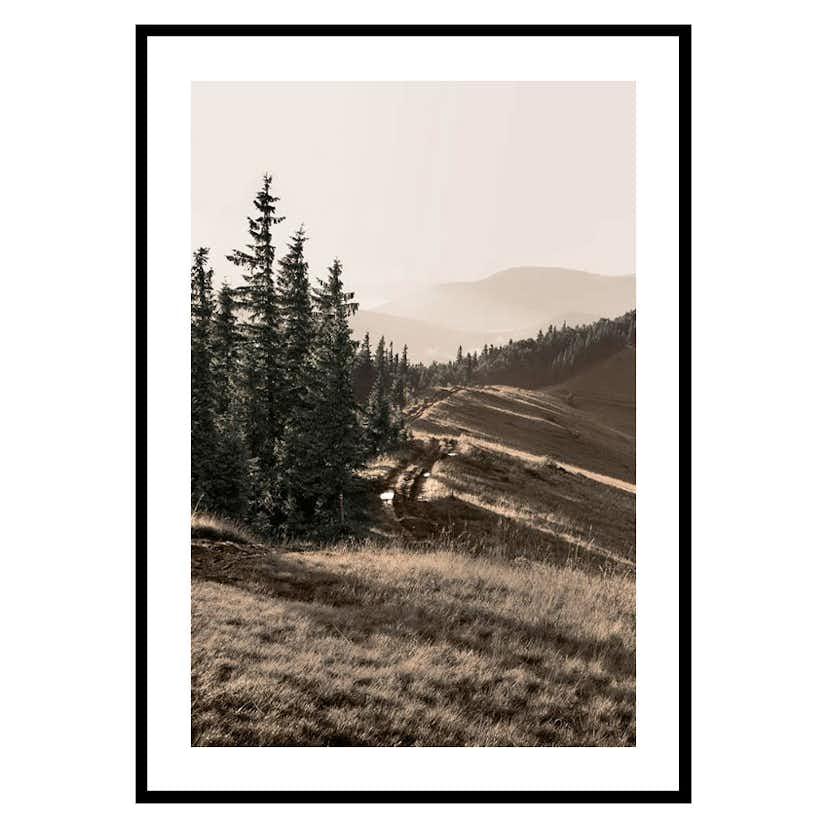 Poster Gallerix Carpathian Mountains