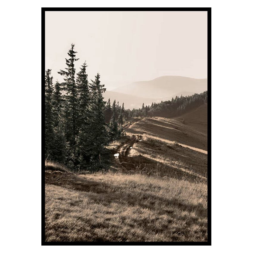 Poster Gallerix Carpathian Mountains