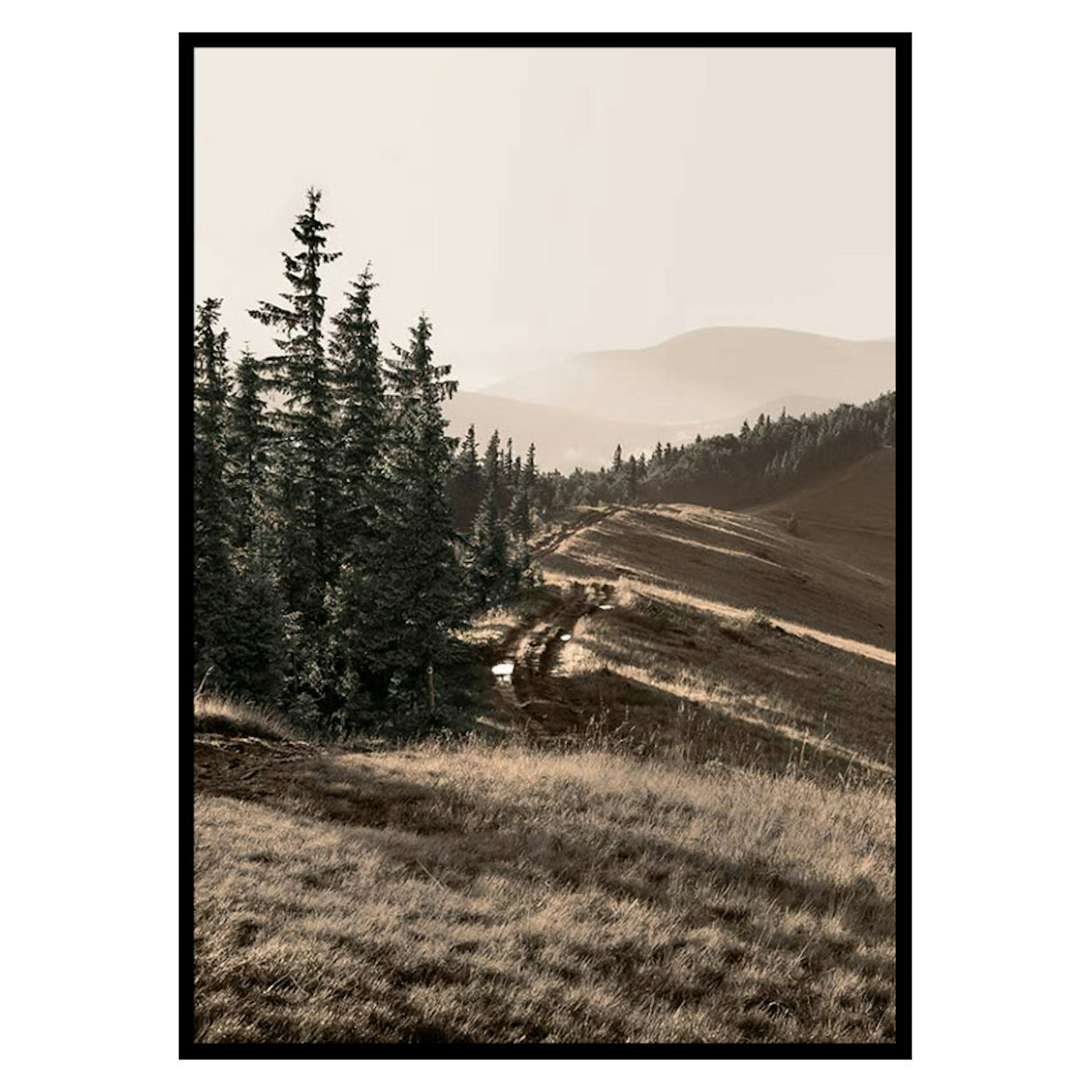 Poster Gallerix Carpathian Mountains