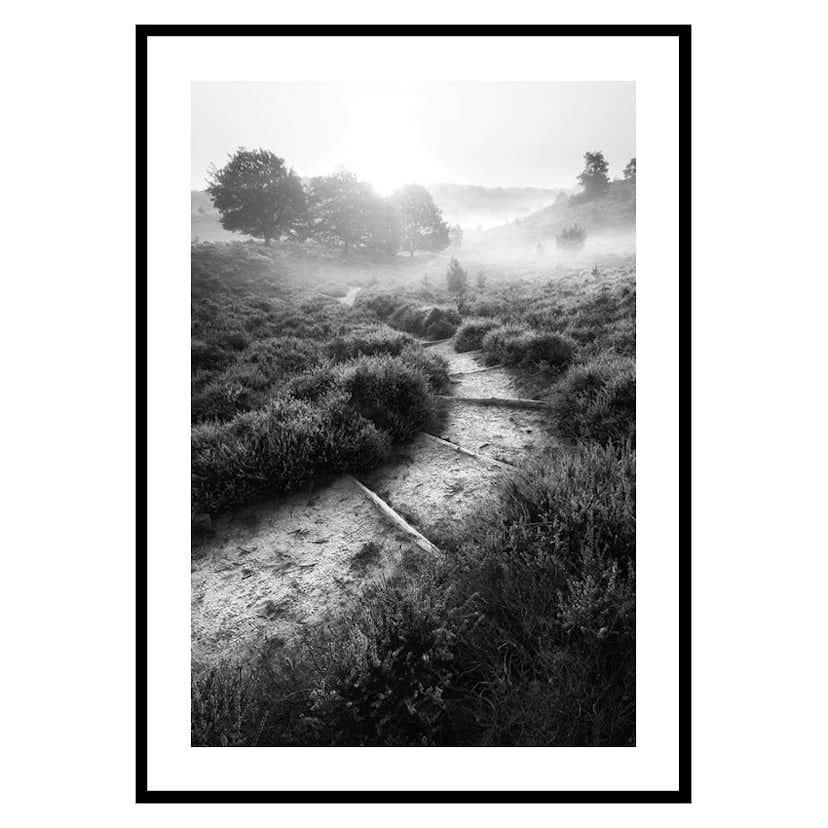 Poster Gallerix Foggy Road