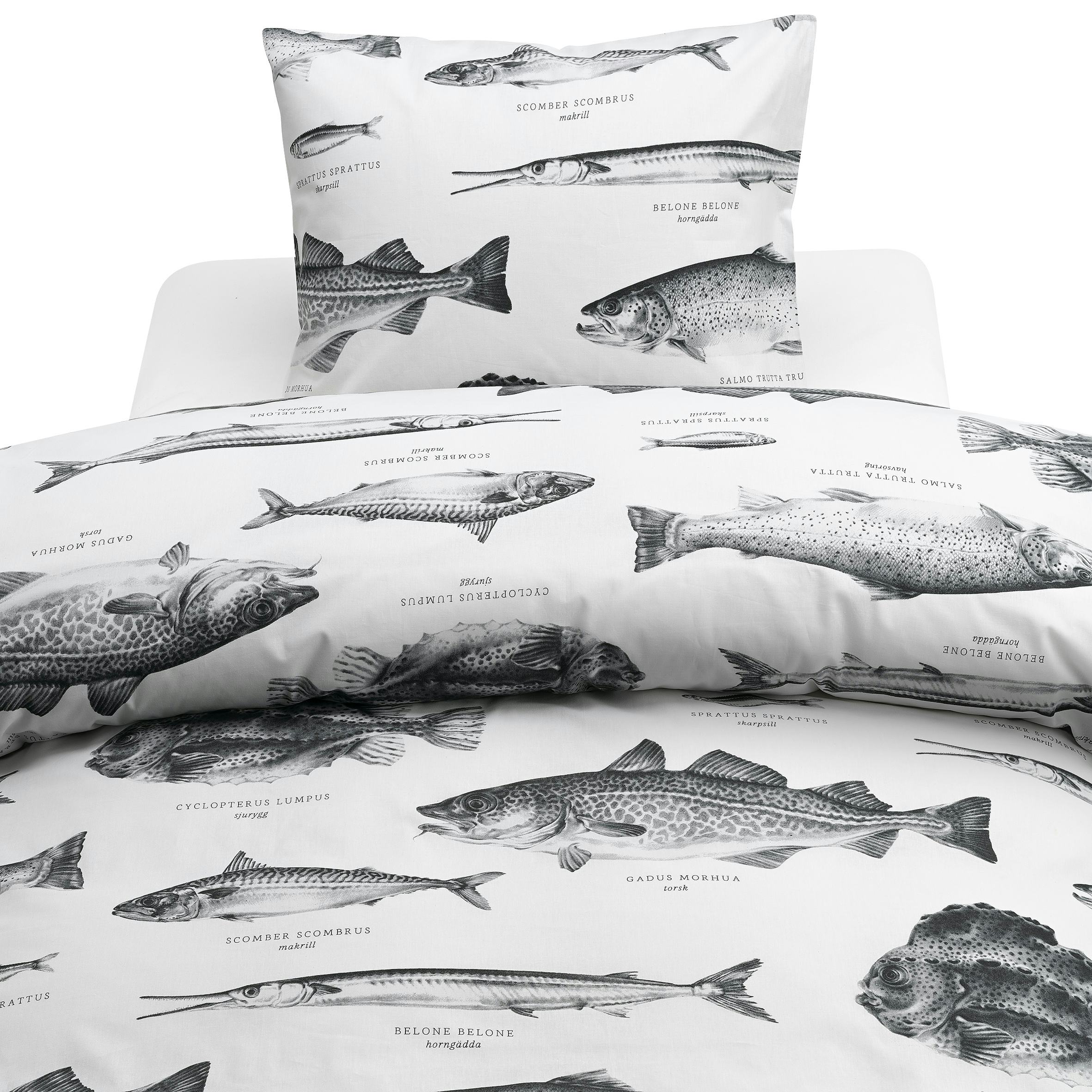 Påslakanset Borganäs of Sweden Havsfiskar