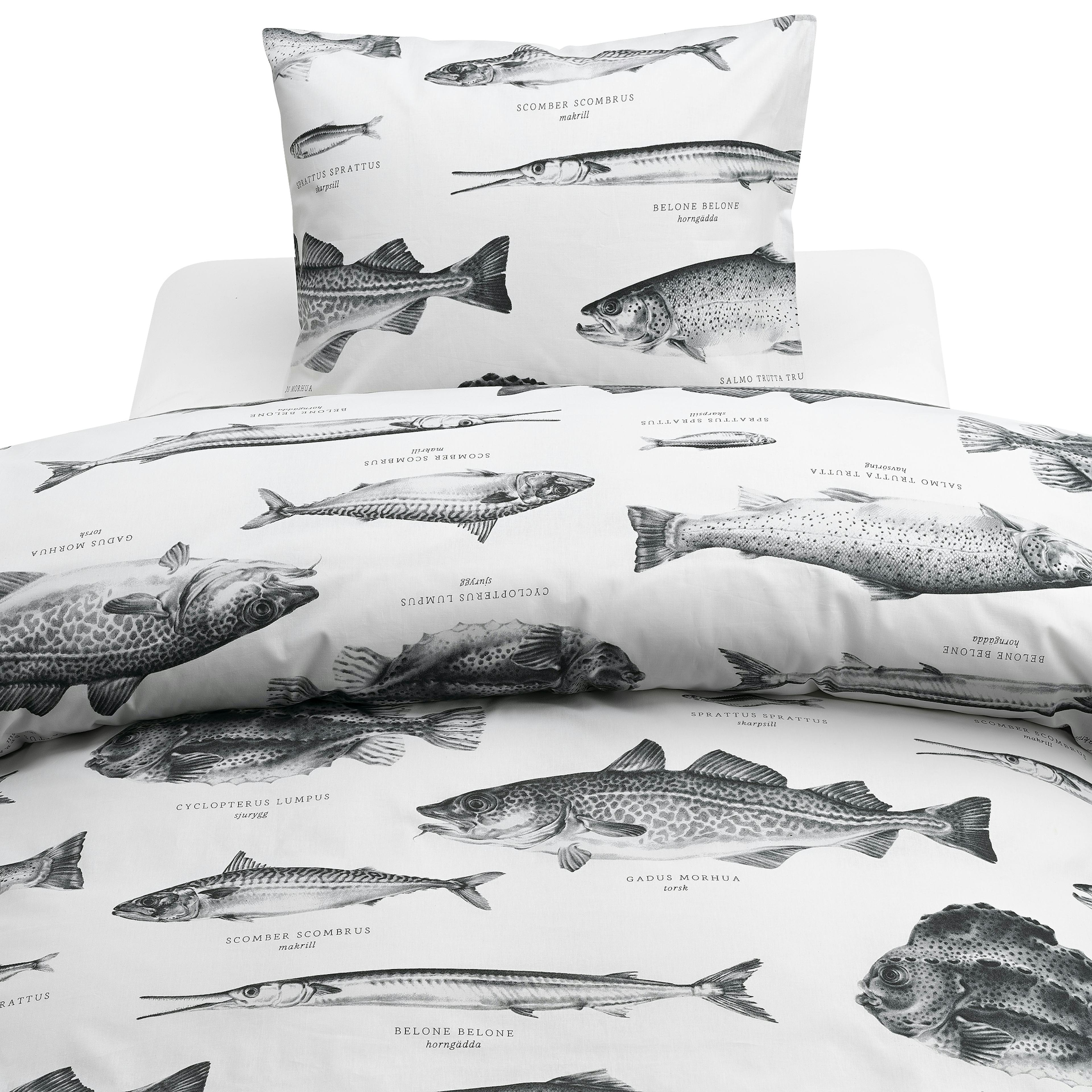 Påslakanset Borganäs of Sweden Havsfiskar