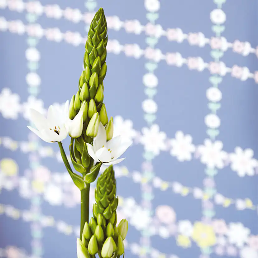 Tapet Eijffinger Rice 359031