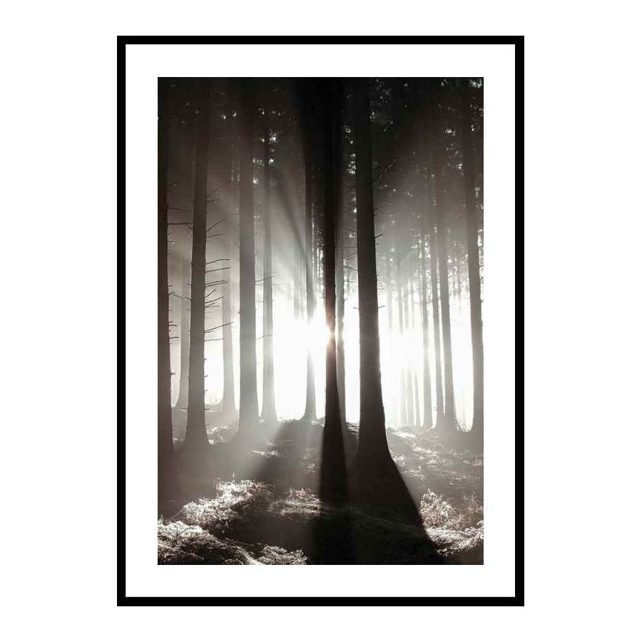 Poster Gallerix Misty Autumn Morning
