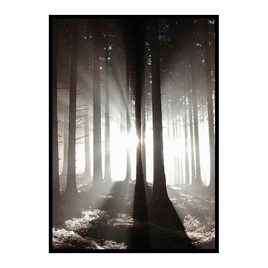 Poster Gallerix Misty Autumn Morning