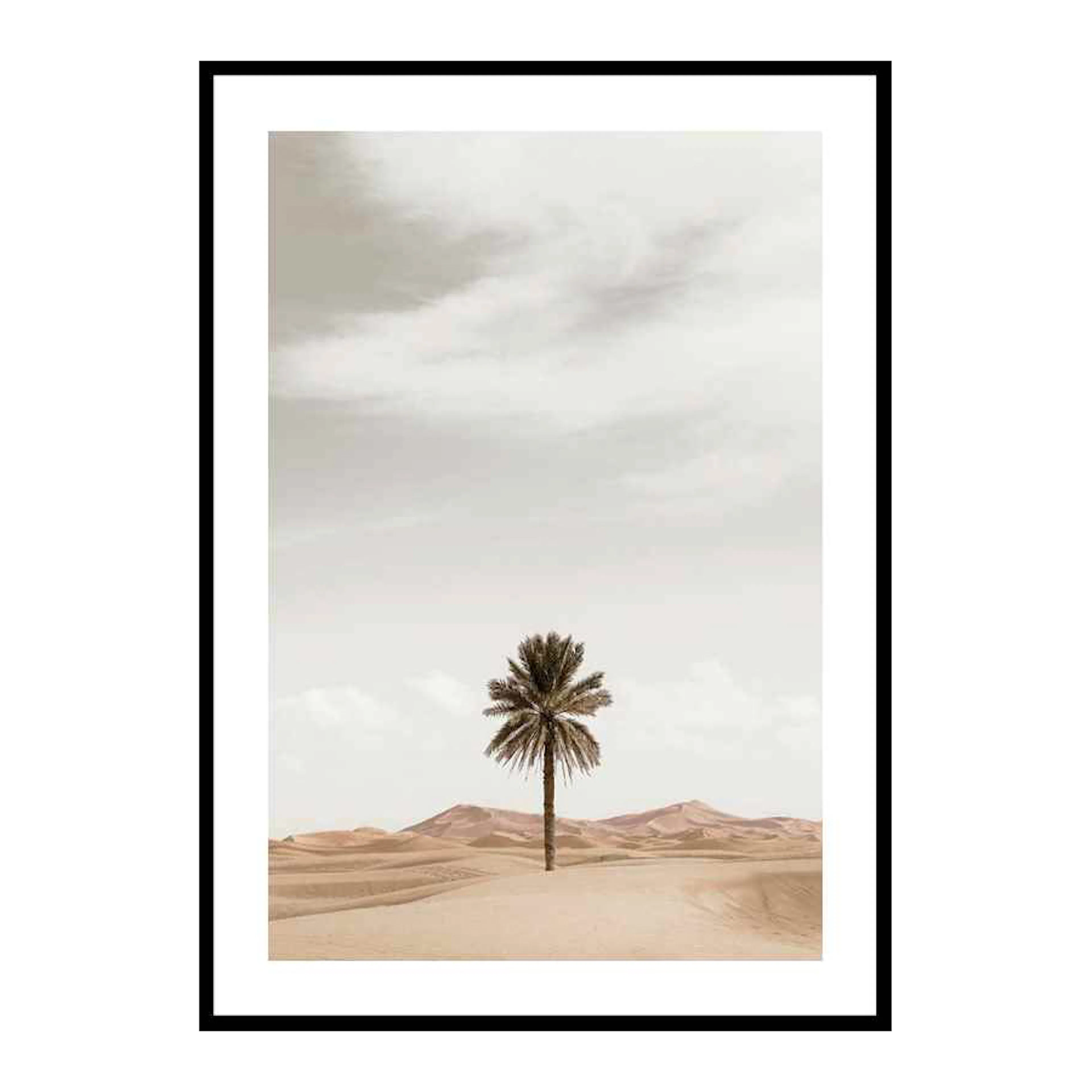 Poster Gallerix Palm Tree In Desert