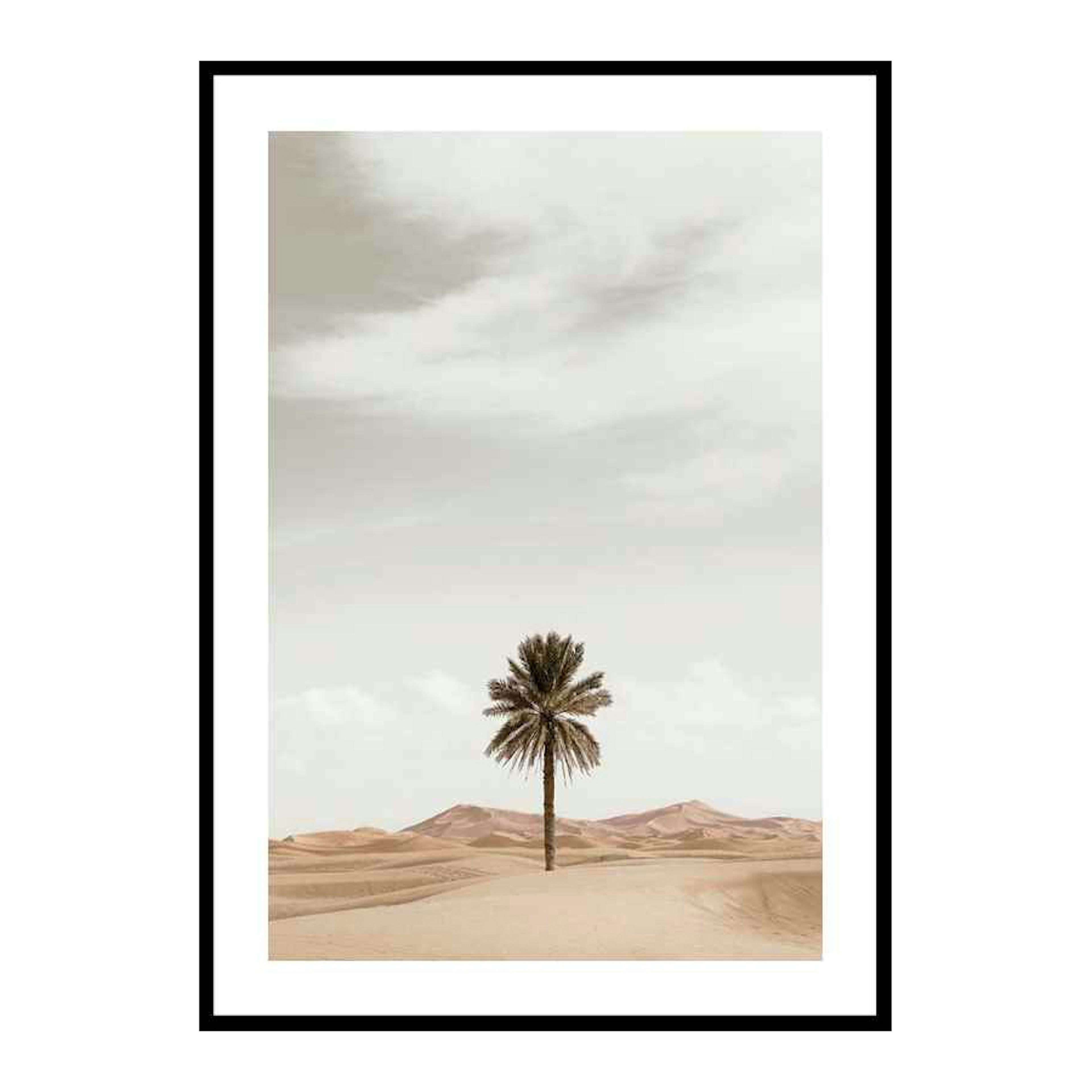 Poster Gallerix Palm Tree In Desert