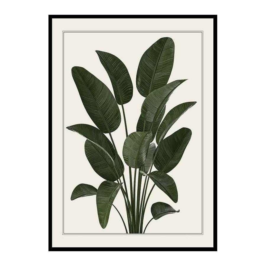 Poster Gallerix Strelitzia