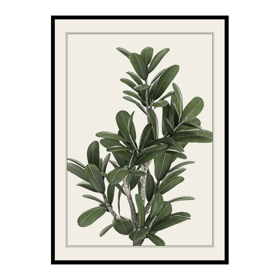 Poster Gallerix Frangipani