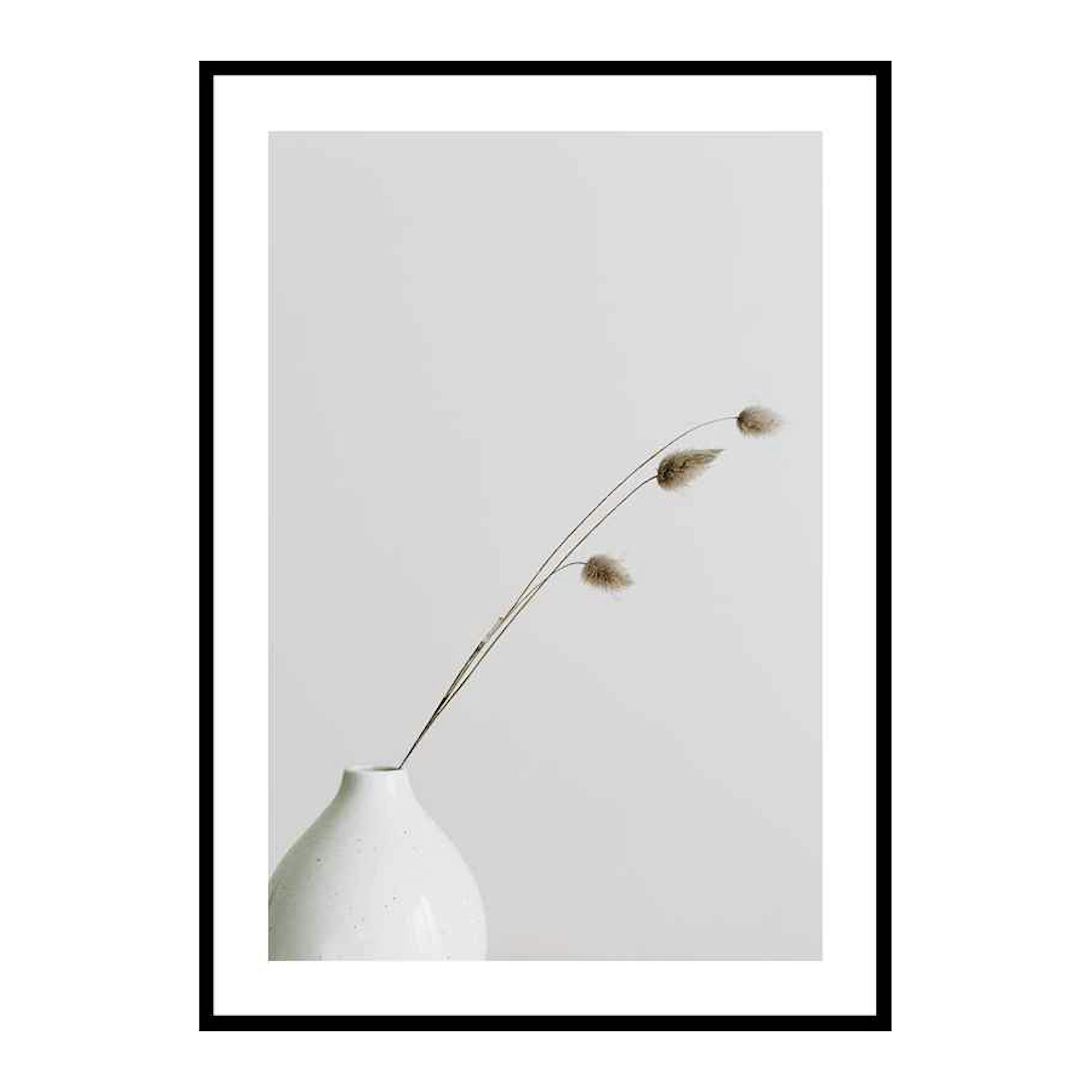 Poster Gallerix Dried Flower White Vase