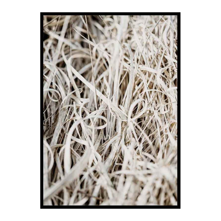 Poster Gallerix Grass