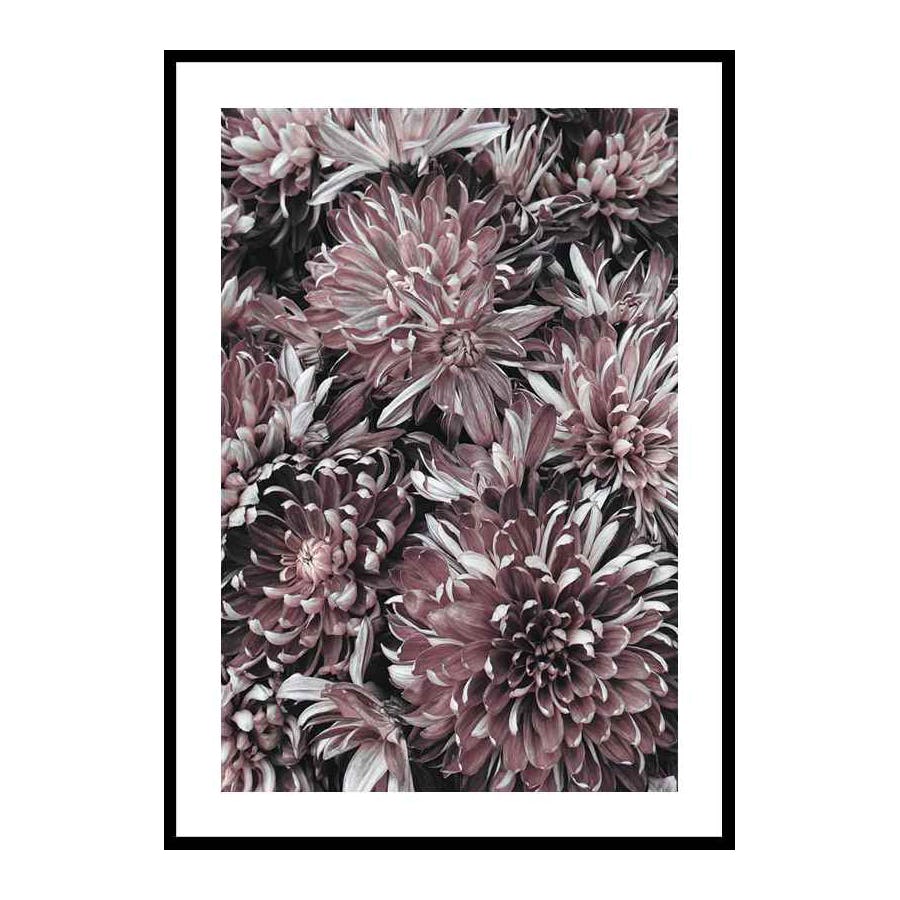 Poster Gallerix Dahlias