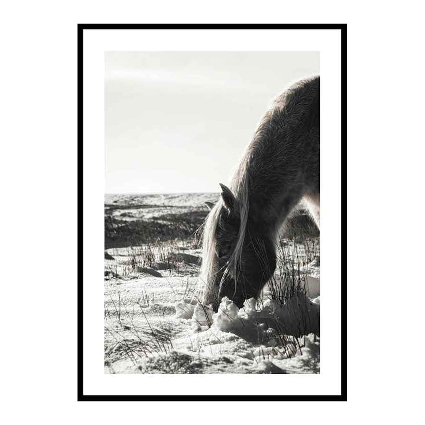 Poster Gallerix Winter Horse