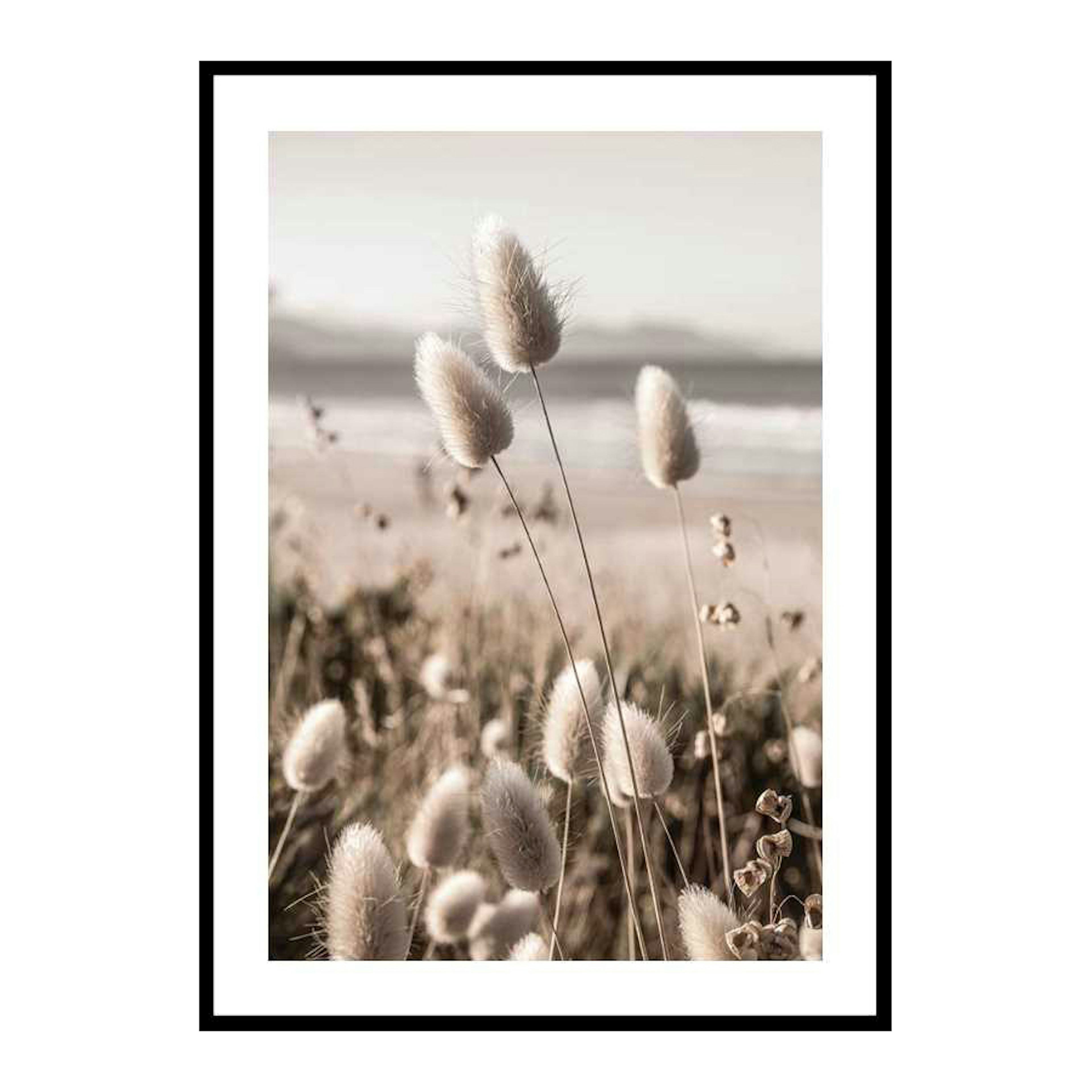 Poster Gallerix Soft Grass