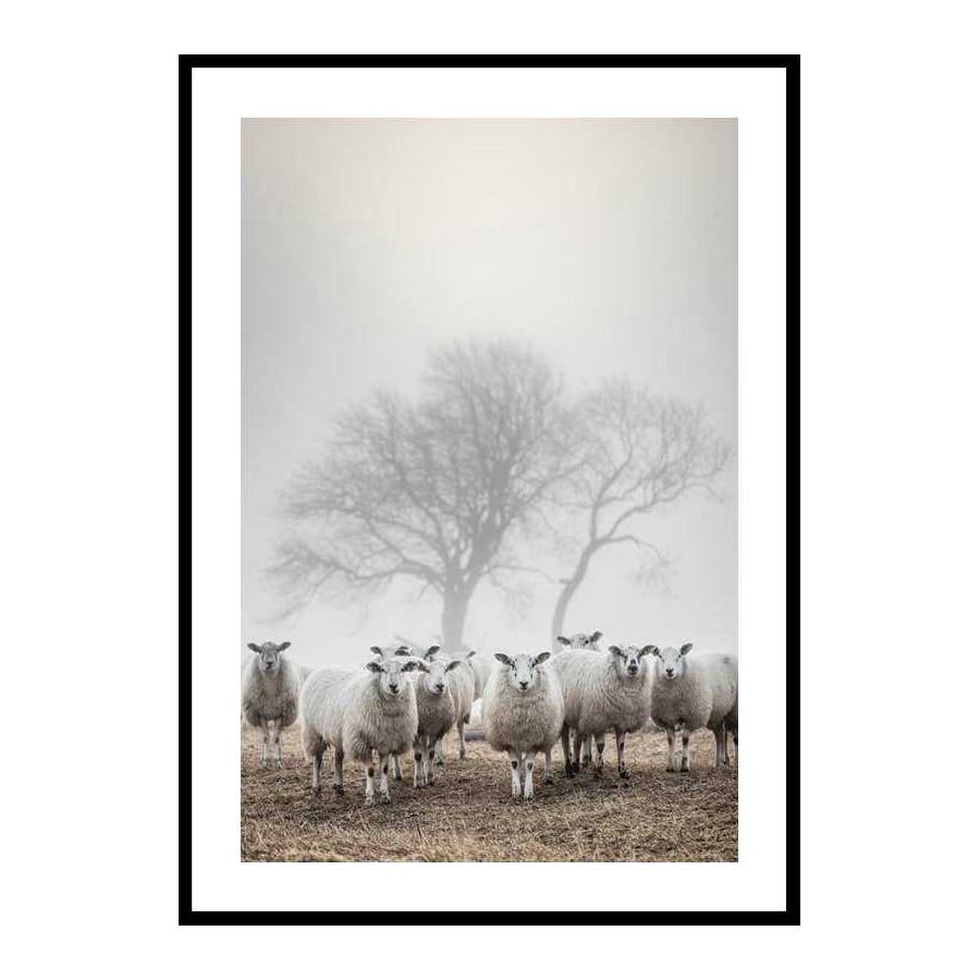 Poster Gallerix Sheep In Fog