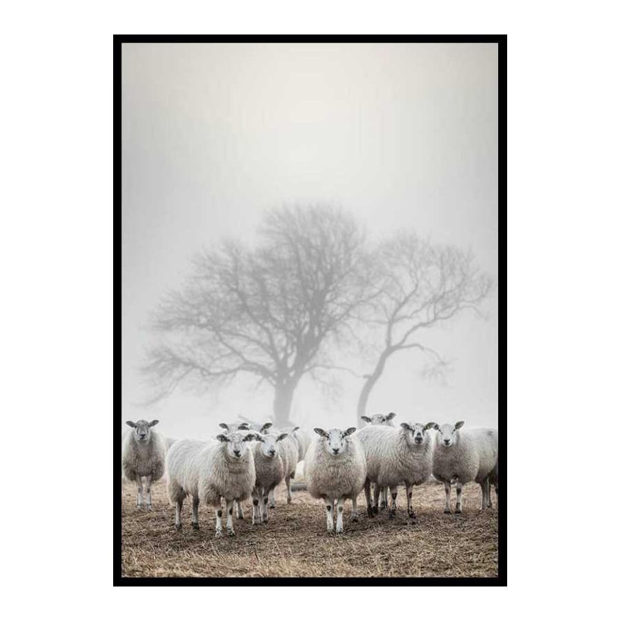 Poster Gallerix Sheep In Fog