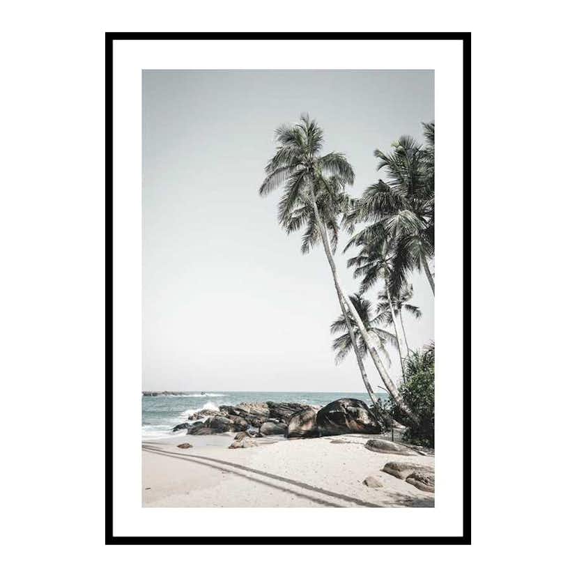 Poster Gallerix Anantara Palm Trees