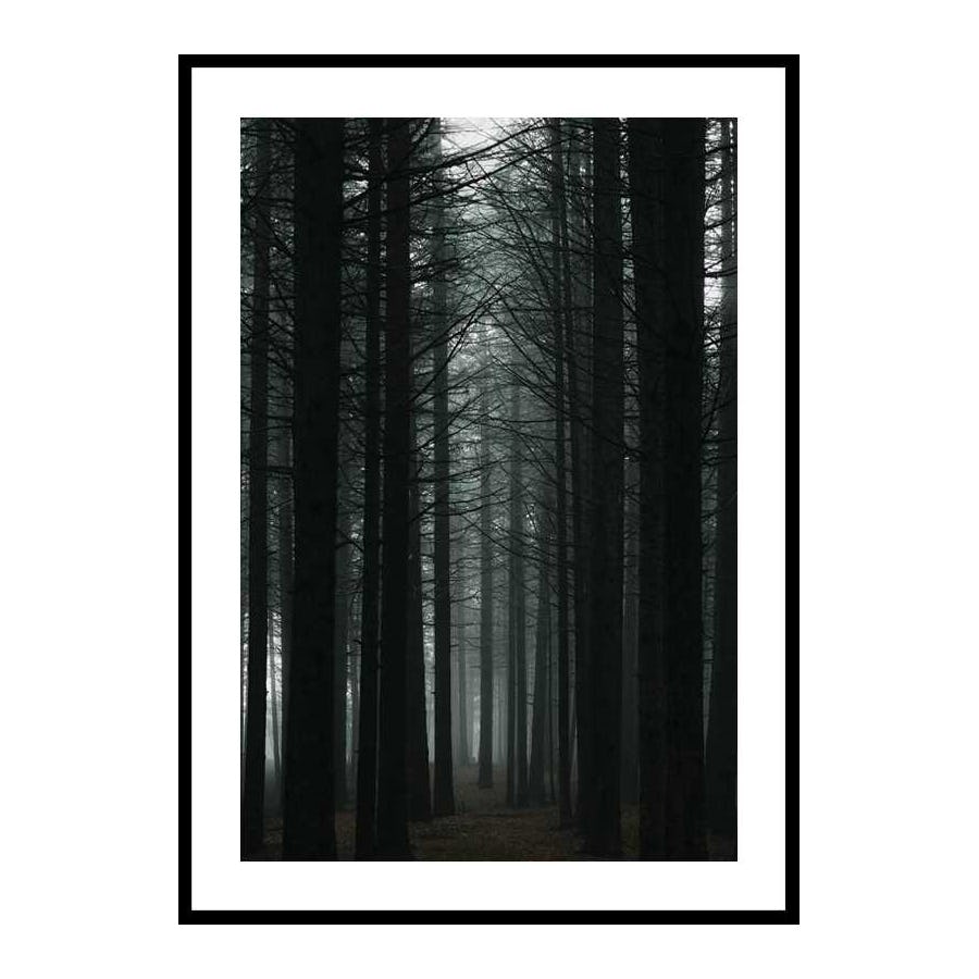 Poster Gallerix Dark Forest