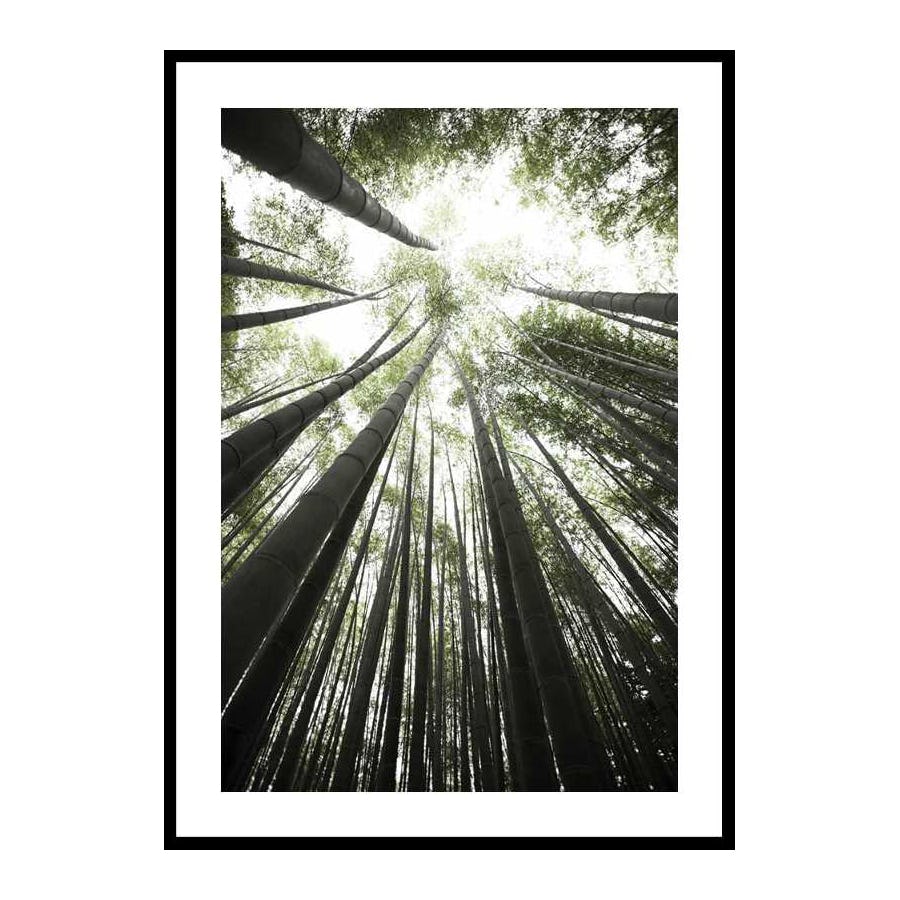 Poster Gallerix Bamboo Forest