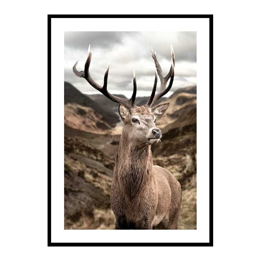 Poster Gallerix Deer In Mountain Landscape