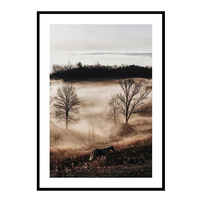 Poster Gallerix Horse In Sunset