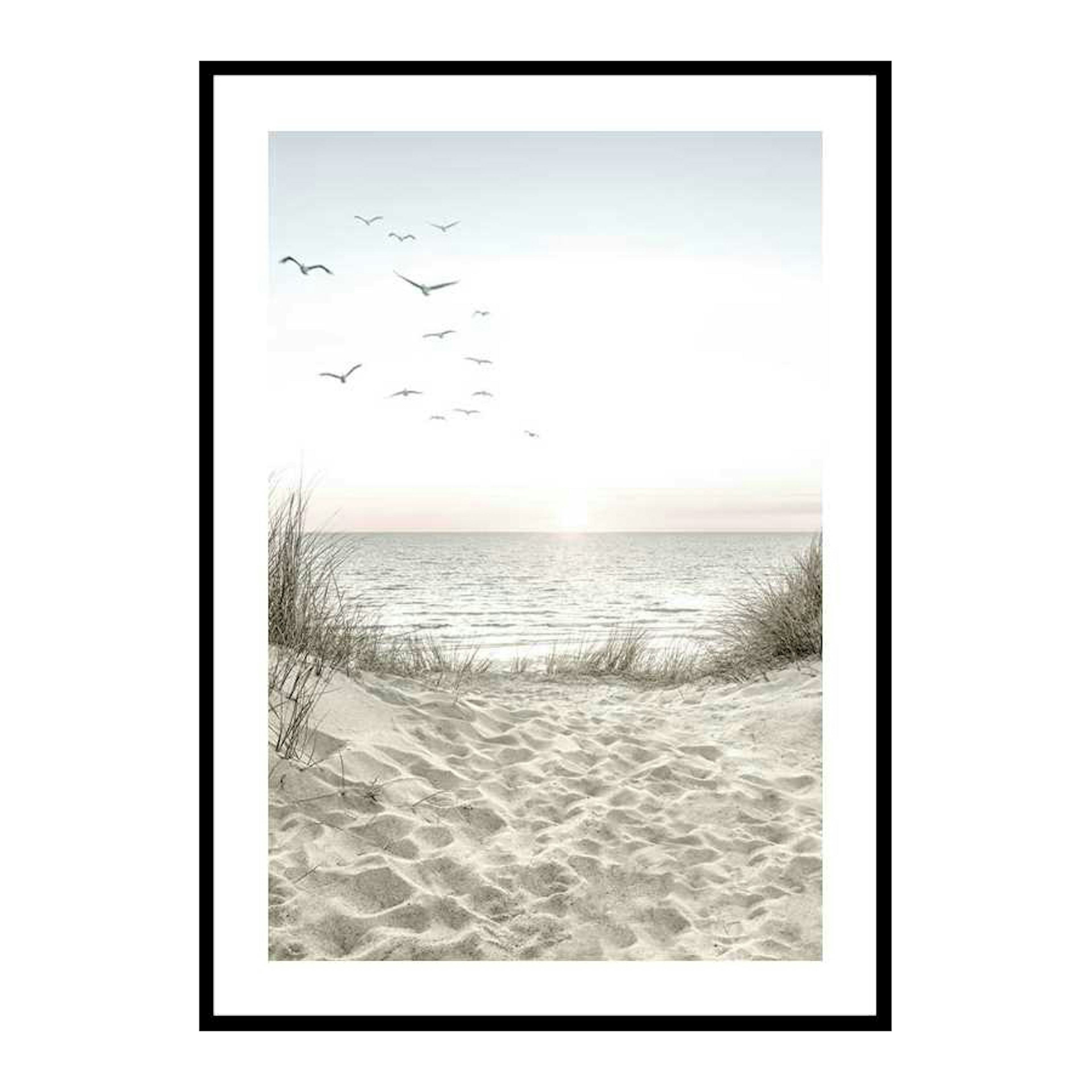 Poster Gallerix Seagulls Sandy Beach