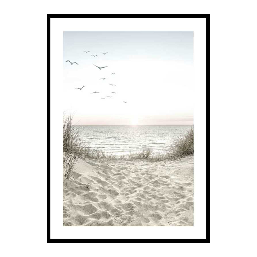 Poster Gallerix Seagulls Sandy Beach