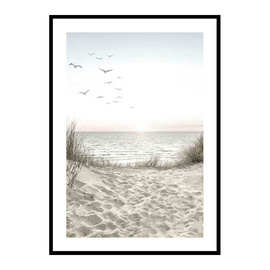 Poster Gallerix Seagulls Sandy Beach