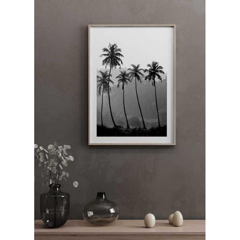 Poster Gallerix Palms