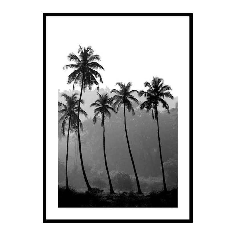 Poster Gallerix Palms