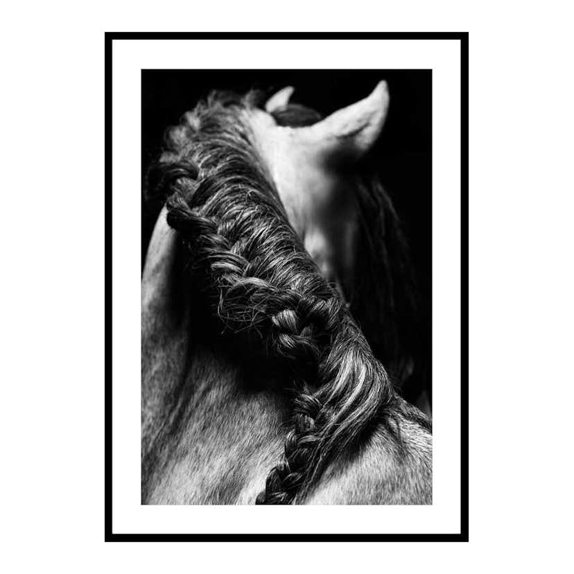 Poster Gallerix Horse Mane