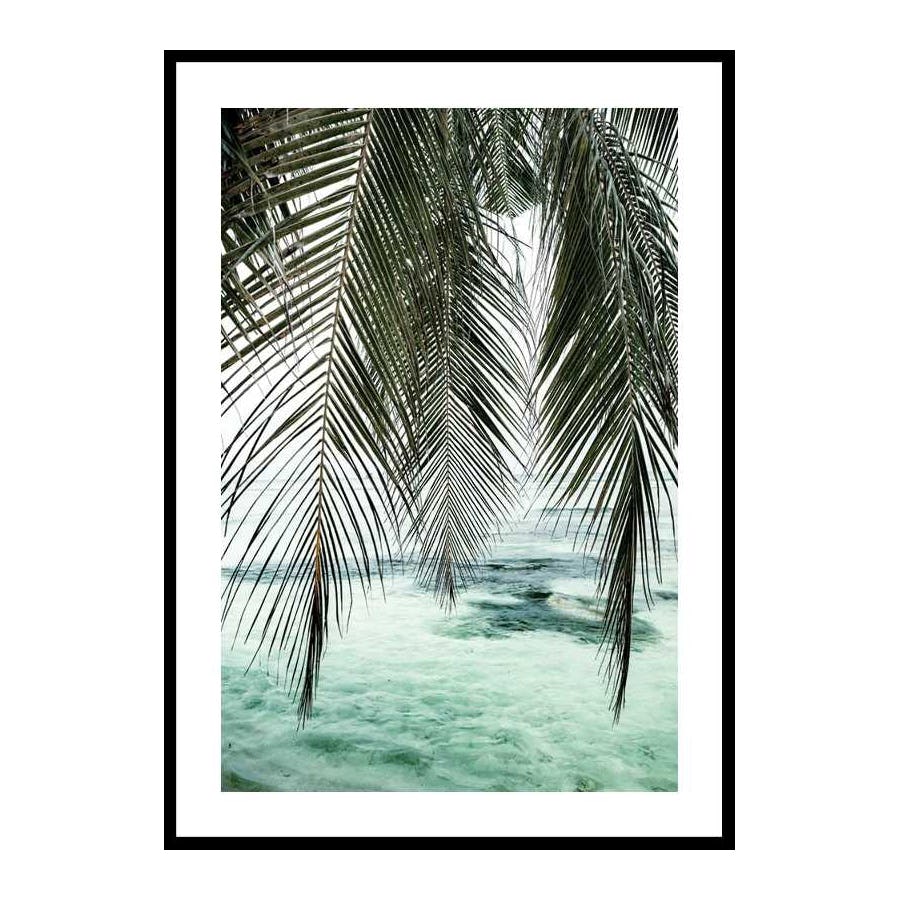 Poster Gallerix Palm Curtain