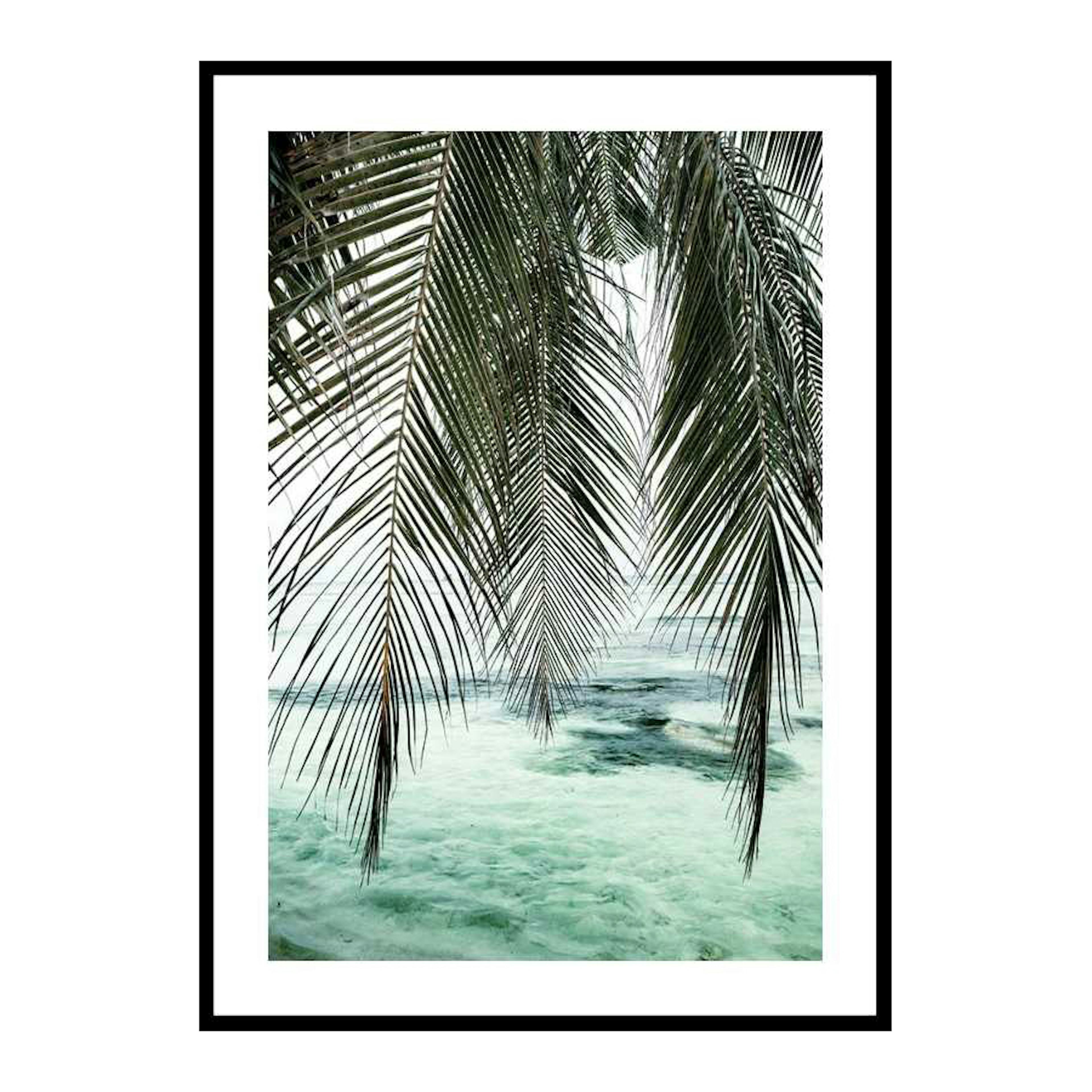 Poster Gallerix Palm Curtain