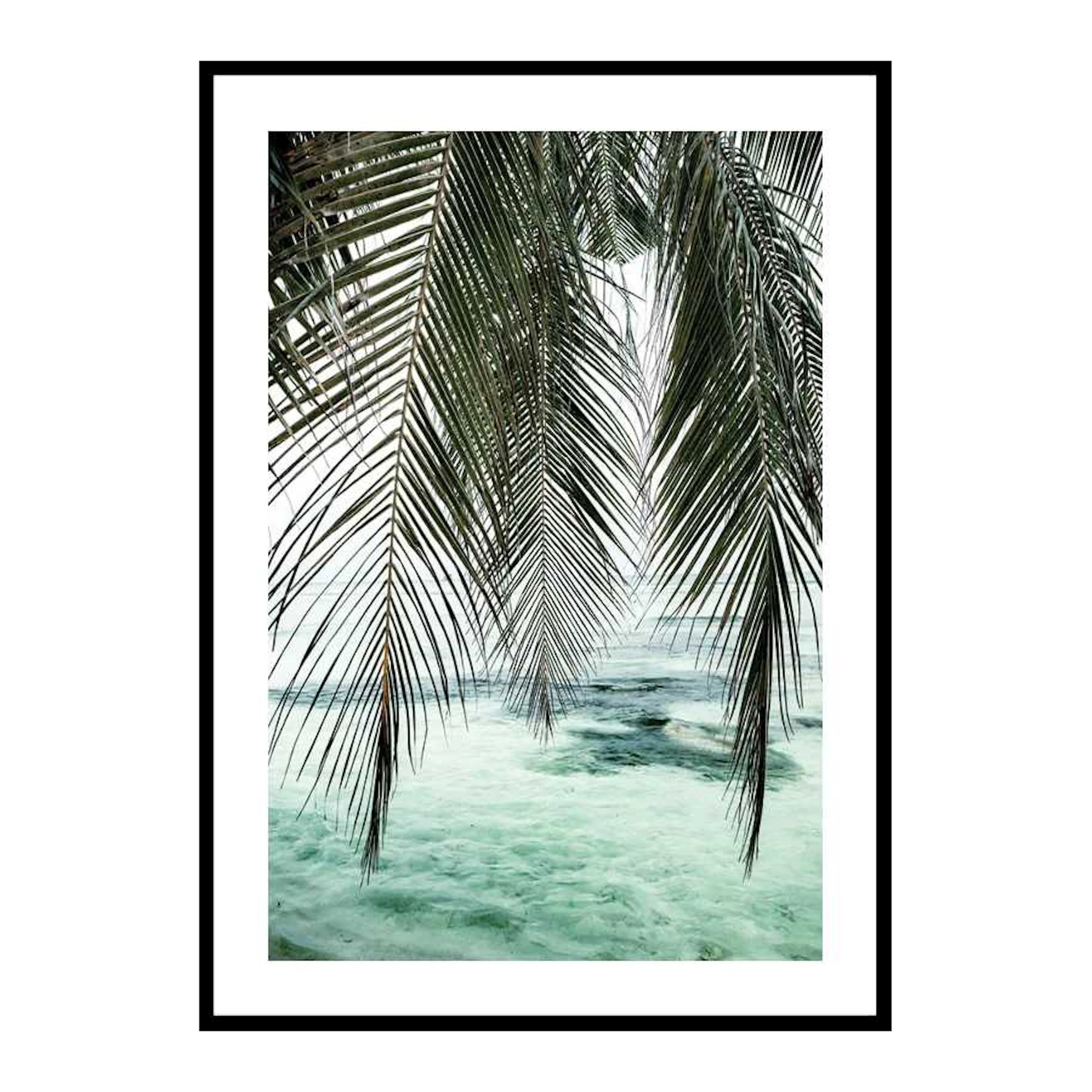 Poster Gallerix Palm Curtain