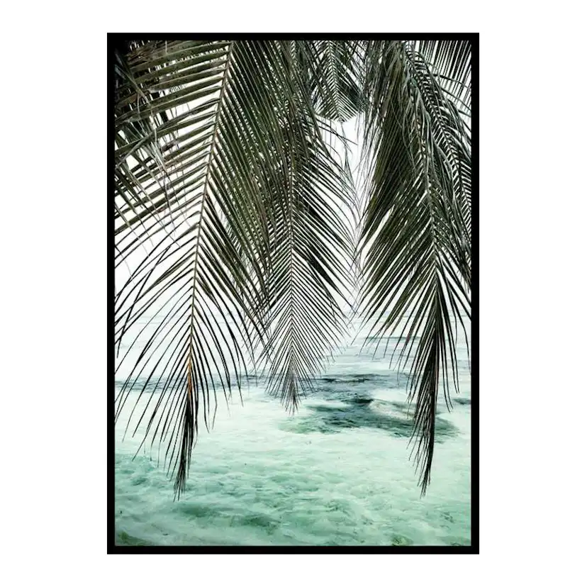 Poster Gallerix Palm Curtain