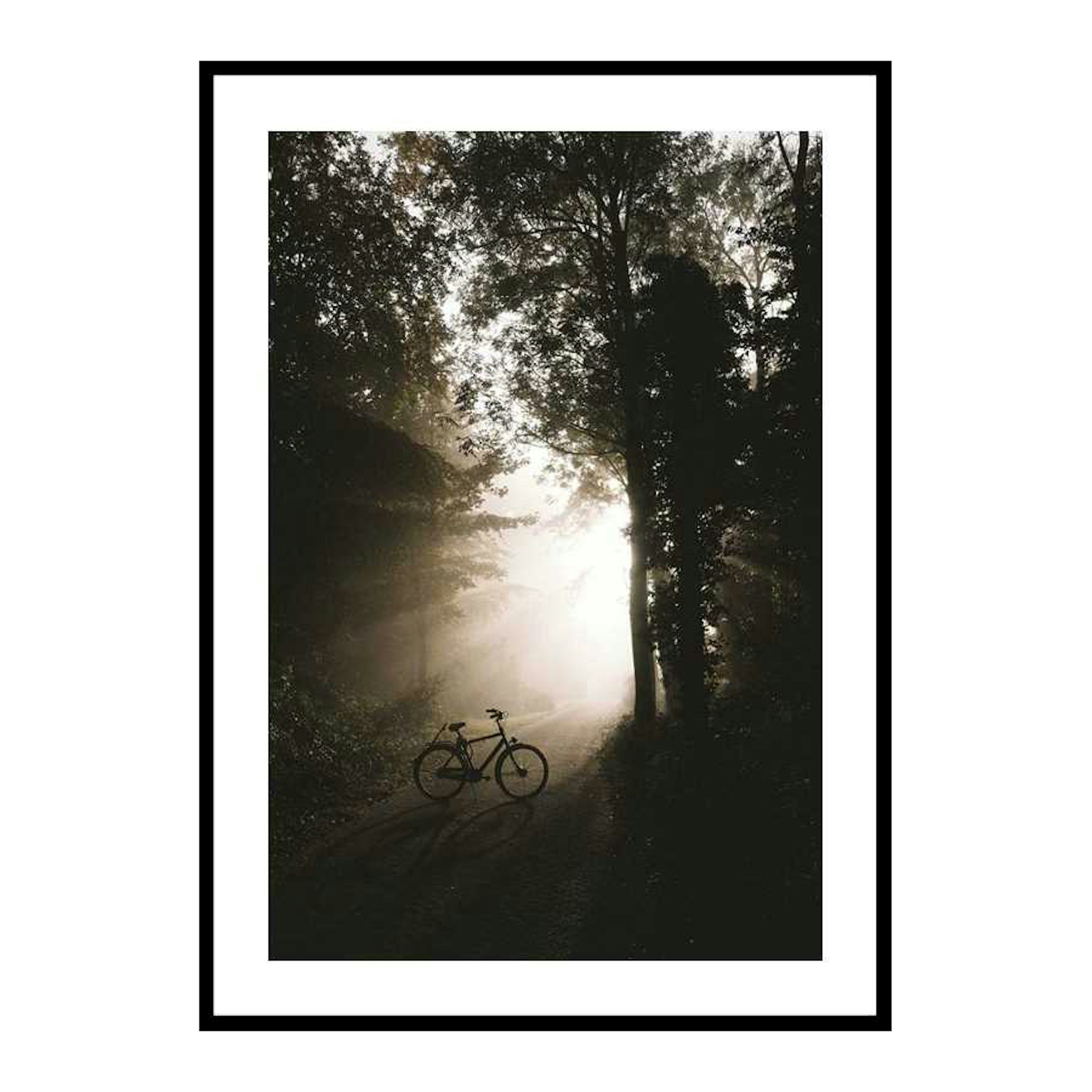 Poster Gallerix Bike In Forest