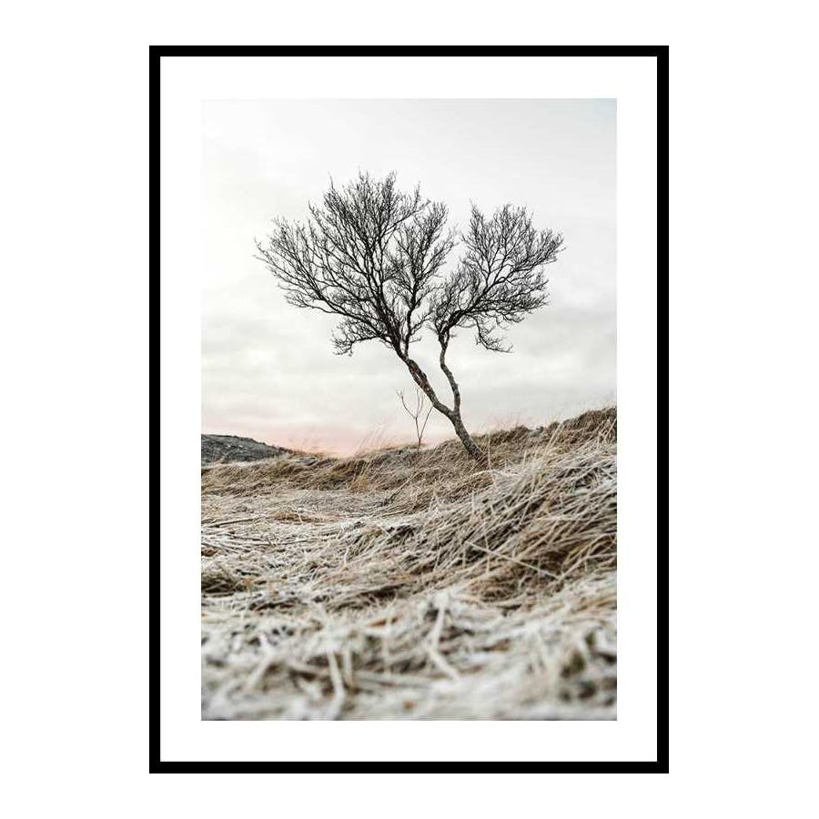 Poster Gallerix Iceland Tree