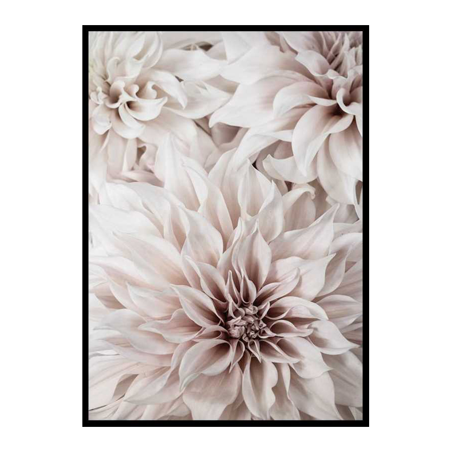 Poster Gallerix Pink Shaded Flowers